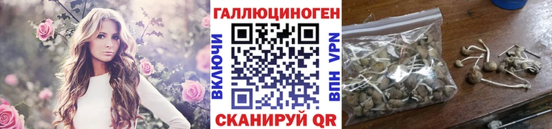 блэк спрут ссылки  Березники  Галлюциногенные грибы MAGIC MUSHROOMS  купить наркотики цена 